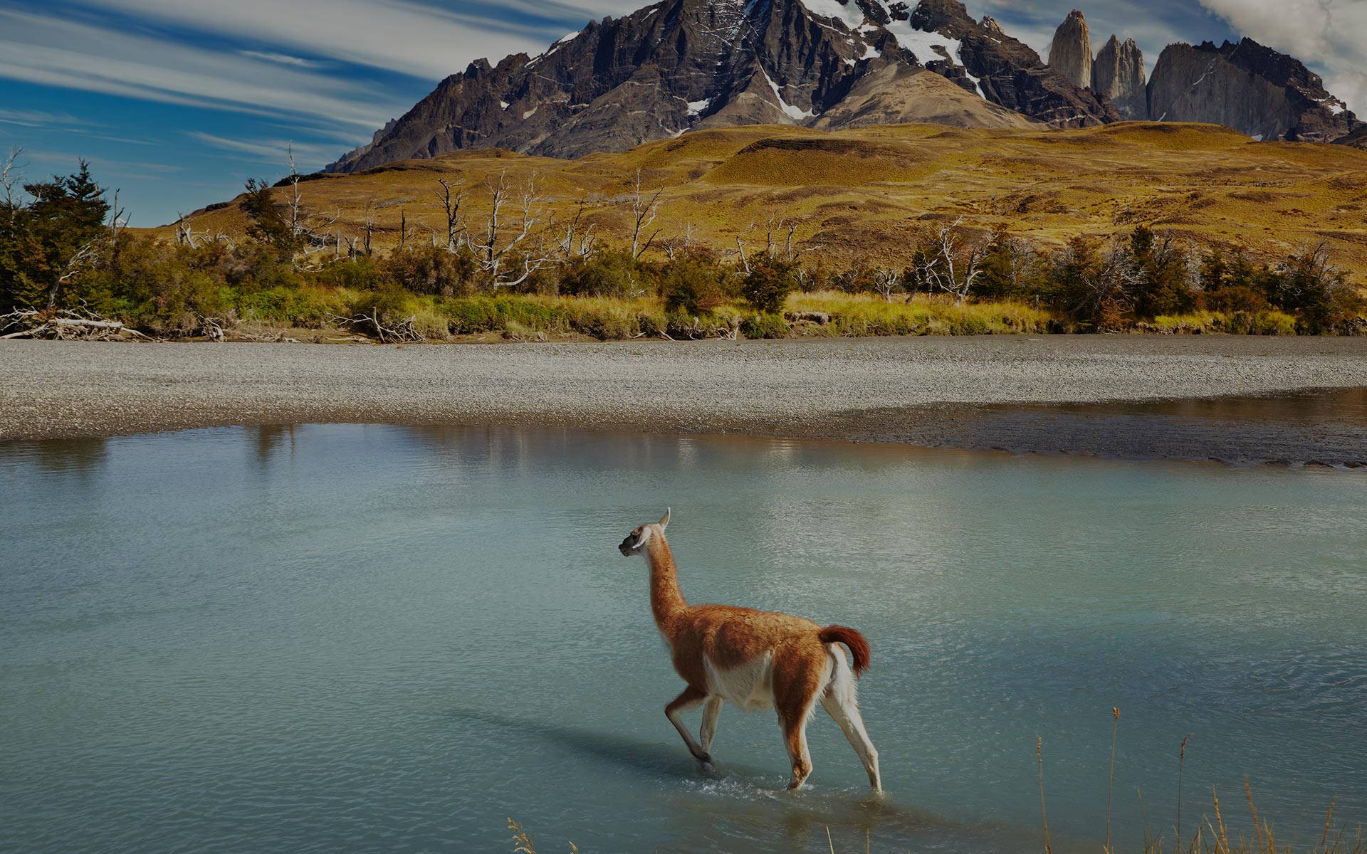 Explore South America under $1000